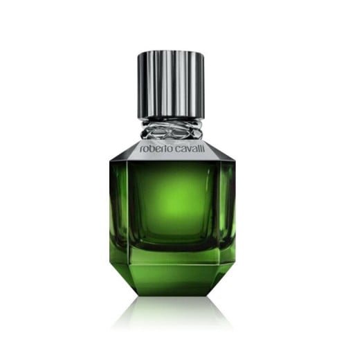روبرتو كافالي باراديس فوند فور مين او دو تواليت 75 مل Paradise Found For Men Roberto Cavalli